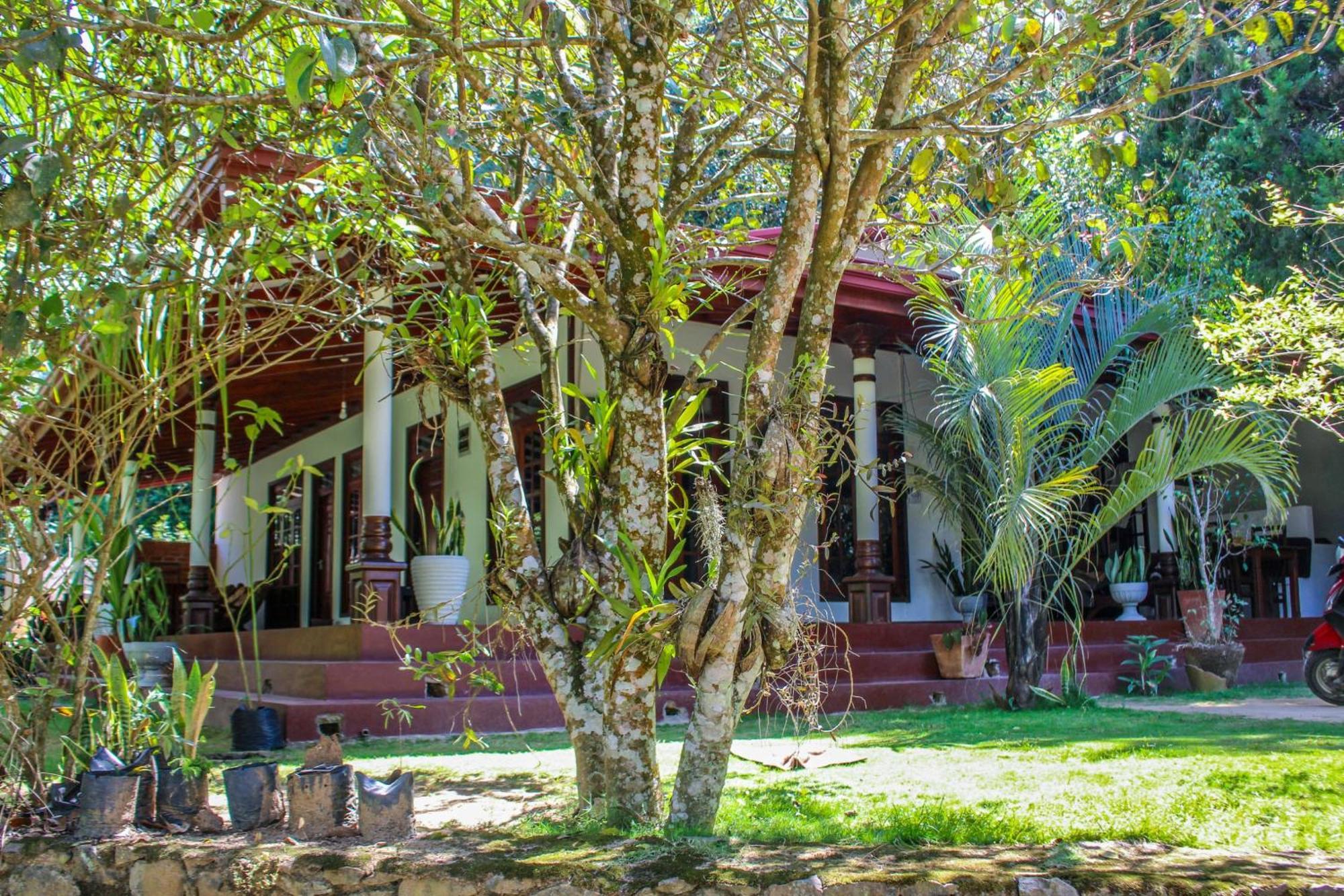 Lavender Homestay Ella Exterior foto